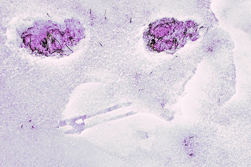 Beak Mouthed Footprint Face Among Snow (Pink Tint)