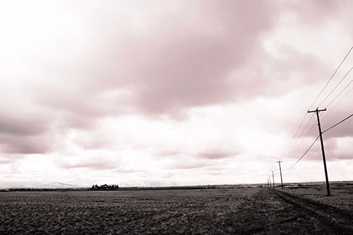 Bleak Clouded Sky Consumes Powerline Prairie (Pink Tint Photo)