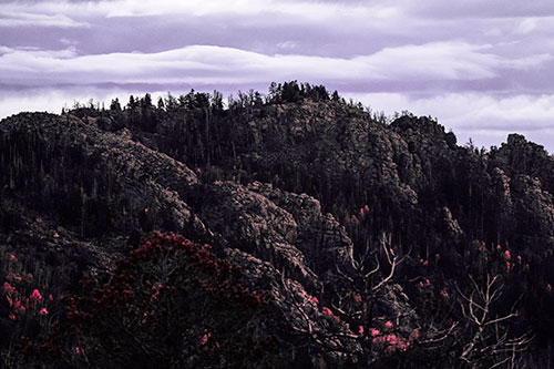 Cloudy Summit Trailhead Mountain Top (Pink Tint Photo)