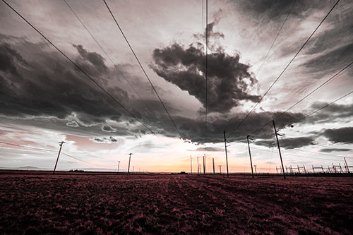 Creature Cloud Formation Above Powerlines (Pink Tint)