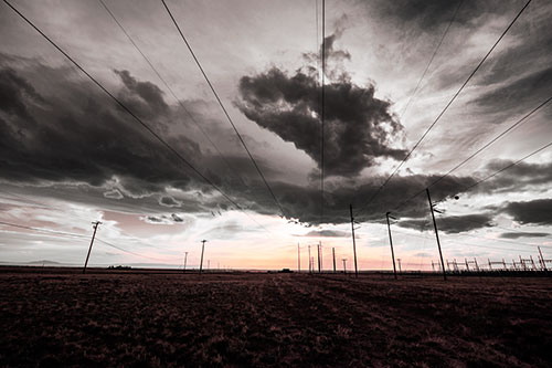 Creature Cloud Formation Above Powerlines (Pink Tint Photo)