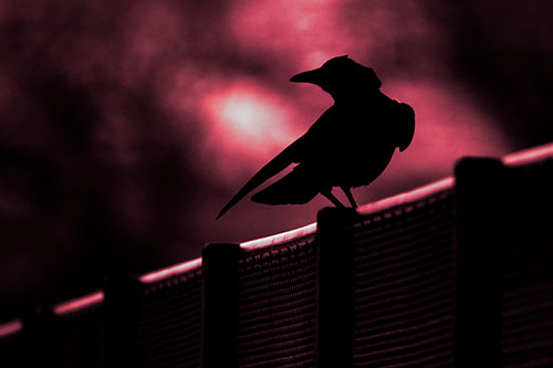 Crow Silhouette Atop Guardrail (Pink Tint)