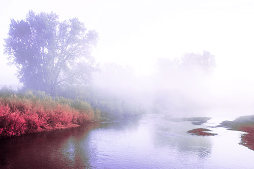 Dense Fog Blankets Distant River Bend (Pink Tint Photo)