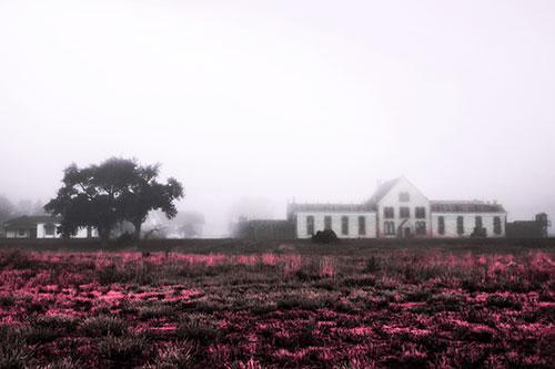 Departing Fog Reveals State Penitentiary (Pink Tint Photo)