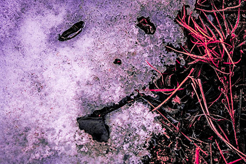Depressed Snow Face Frowning Among Grass (Pink Tint)