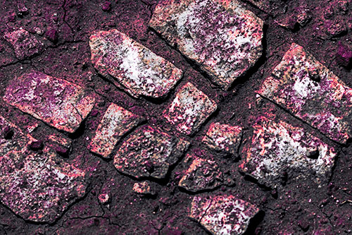 Dirt Covered Stepping Stones (Pink Tint Photo)