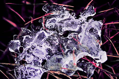 Dismayed Ice Dragon Face Frozen Among Piercing Grass Blades (Pink Tint)