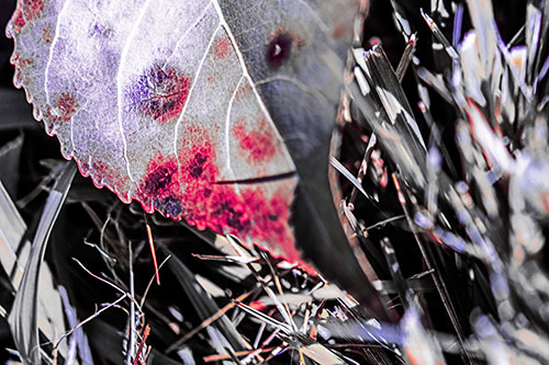 Eye Winking Shadow Smirking Leaf Face (Pink Tint)