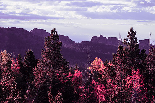 Fall Colors Emerge Infront Of Mountain Range (Pink Tint Photo)