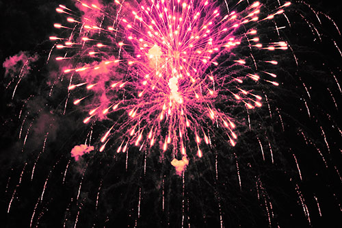Fireworks Explosion Lights Night Sky Ablaze (Pink Tint Photo)