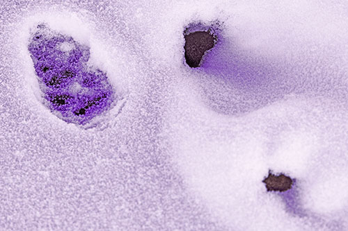 Footprint Eye Snow Face Atop Rock Surface (Pink Tint)