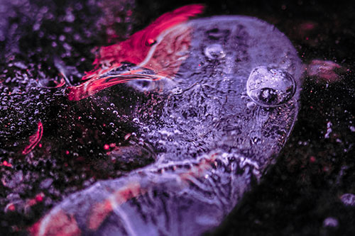 Frozen Distorted Bubble Eyed Ice Face (Pink Tint)