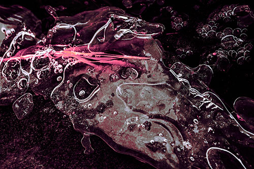 Frozen Shapeshifting Pupil Bubble Eyed Ice Face (Pink Tint)