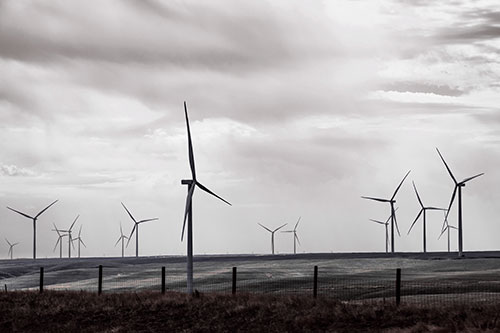 Gloomy Clouds Overcast Wind Turbine Pasture (Pink Tint)
