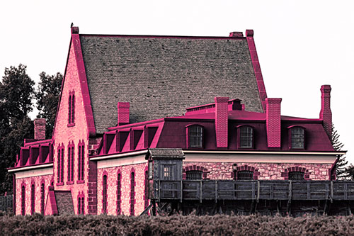 Hawk Sits Atop Gabled State Penitentiary Roof (Pink Tint Photo)