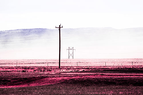 Heavy Fog Hiding Mountain Range Behind Powerlines (Pink Tint Photo)