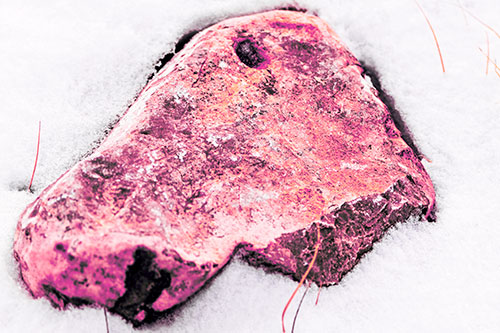 Horse Faced Rock Imprinted In Snow (Pink Tint Photo)