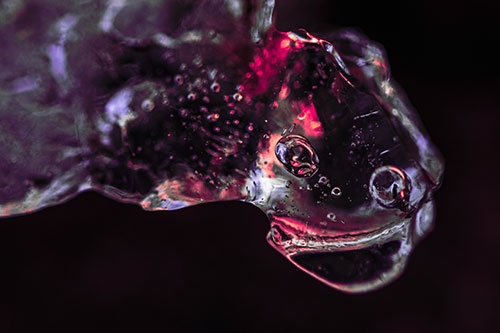 Joyful Frozen Bubble Eyed River Ice Face Creature (Pink Tint Photo)