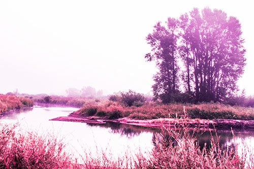 Large Foggy Trees At Edge Of River Bend (Pink Tint Photo)