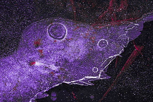 Large Headed Bubble Eyed Ice Face Frozen Among River (Pink Tint)