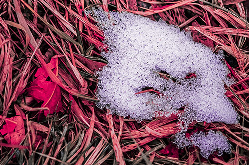 Miserable Slanted Grass Eyed Snow Face (Pink Tint)