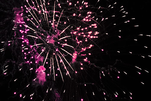 Multiple Firework Explosions Send Light Orbs Flying (Pink Tint Photo)