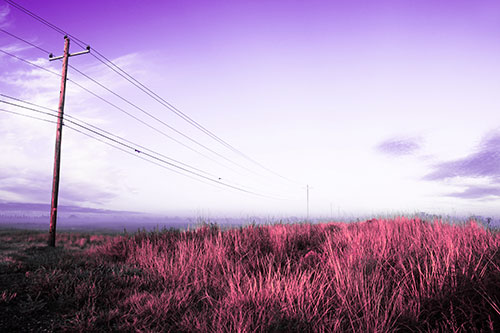 Powerlines Descend Among Foggy Prairie (Pink Tint Photo)