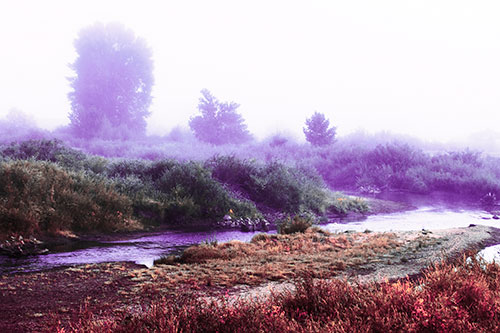 River Flowing Along Foggy Vegetation (Pink Tint Photo)