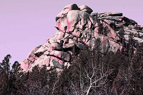 Rock Formations Rising Above Treeline (Pink Tint Photo)