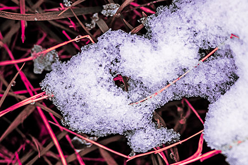 Sad Melting Grass Tangled Snow Face (Pink Tint)