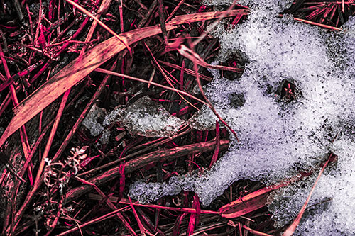 Sad Mouth Melting Ice Face Creature Among Soggy Grass (Pink Tint Photo)