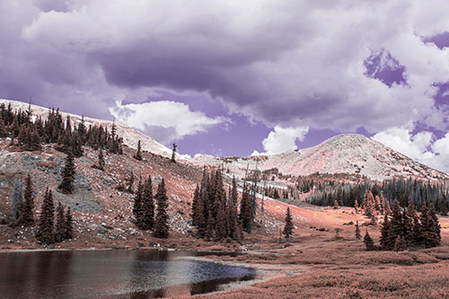 Scattered Trees Along Mountainside (Pink Tint Photo)