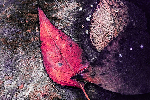 Soggy Cannibal Leaf Face Chewing Another Leaf (Pink Tint)