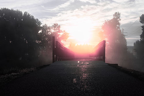 Sun Rises Beyond Foggy Wooden Walkway Bridge (Pink Tint Photo)