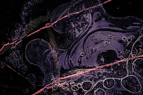 Terrified Screaming Ice Bubble Face Imprisoned Among Sticks (Pink Tint)