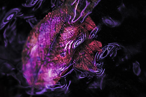 Water Ripple Faced Leaf In Submerged Trance (Pink Tint)
