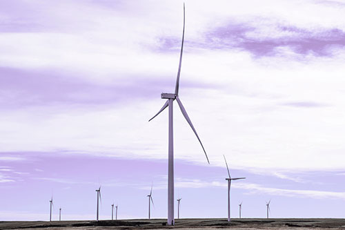 Wind Turbine Standing Tall Among The Rest (Pink Tint Photo)