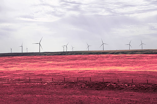 Wind Turbines Scattered Along Prairie Horizon (Pink Tint)