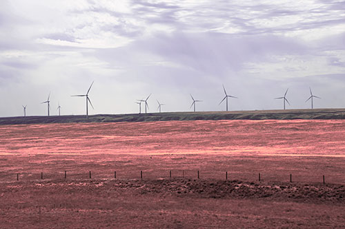 Wind Turbines Scattered Along The Prairie Horizon (Pink Tint Photo)