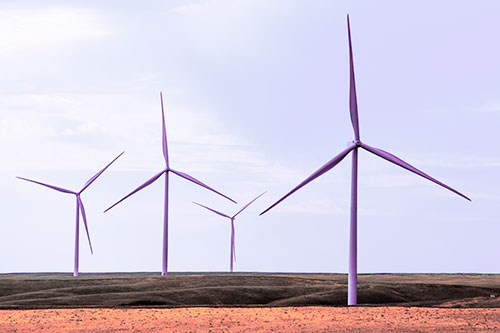 Wind Turbines Standing Tall Among Grassy Pasture (Pink Tint)