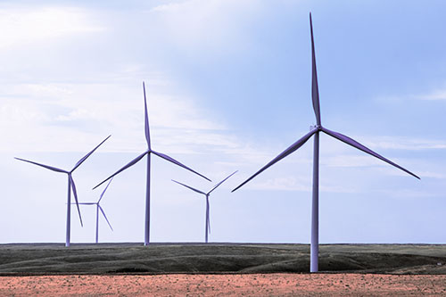 Wind Turbines Standing Tall On Green Pasture (Pink Tint Photo)