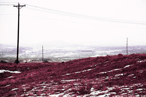 Winter Snowstorm Approaching Powerlines (Pink Tint Photo)