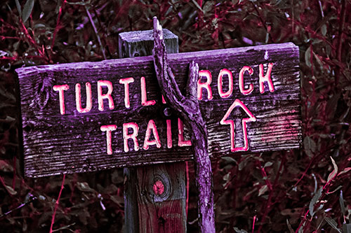 Wooden Turtle Rock Trail Sign (Pink Tint Photo)