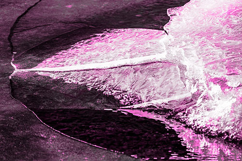 Abstract Ice Sculpture Forms Atop Frozen River (Pink Tone Photo)