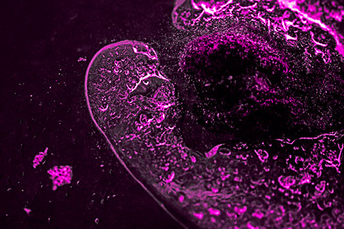 Angry Eyebrow Raised Ice Bubble Creature Bending Beside Mossy Rock (Pink Tone)