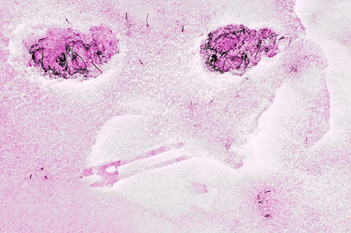 Beak Mouthed Footprint Face Among Snow (Pink Tone)