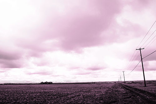 Bleak Clouded Sky Consumes Powerline Prairie (Pink Tone Photo)