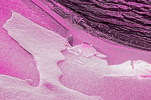 Broken Cracked Ice Along Shoreline (Pink Tone)