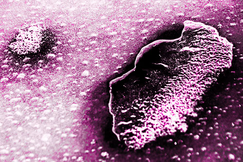 Bubble Head Face Peeking Through Ice (Pink Tone Photo)