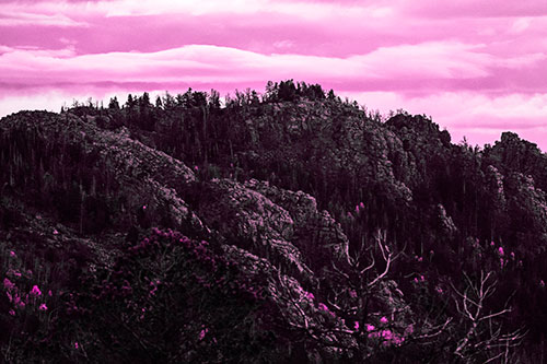 Cloudy Summit Trailhead Mountain Top (Pink Tone Photo)